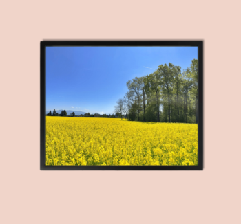 Sense Wall Art Warm Summer Canvas