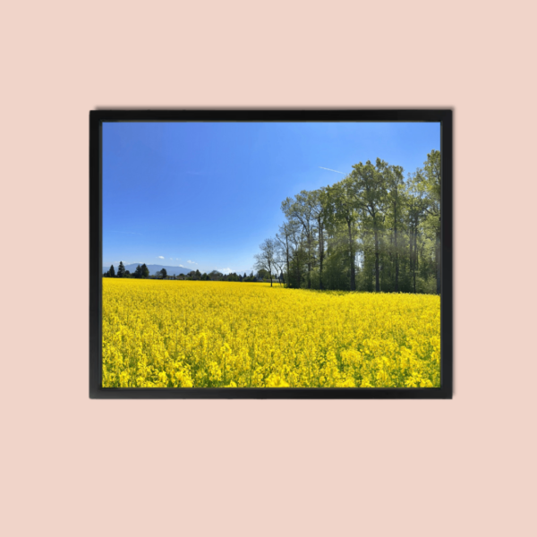 Sense Wall Art Warm Summer Canvas