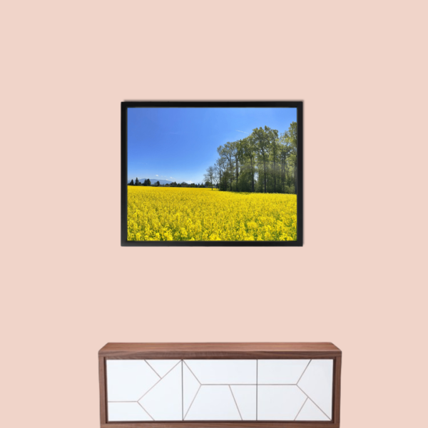 Sense Wall Art Warm Summer Canvas