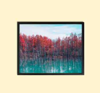 Beautiful Forest Wall Art Canvas