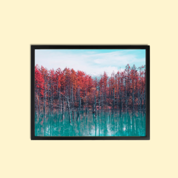 Beautiful Forest Wall Art Canvas