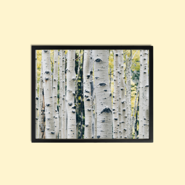 Sense Forest Wall Art Canvas