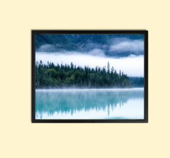 Stunning Forest Wall Art Canvas