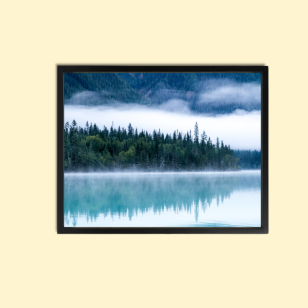 Stunning Forest Wall Art Canvas