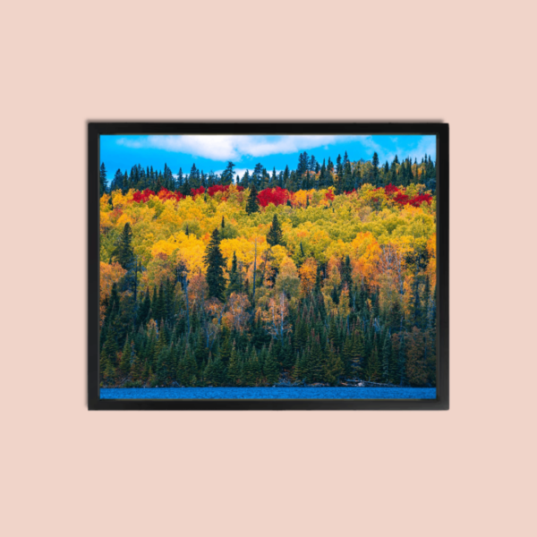 Spring Forest Wall Art Canvas