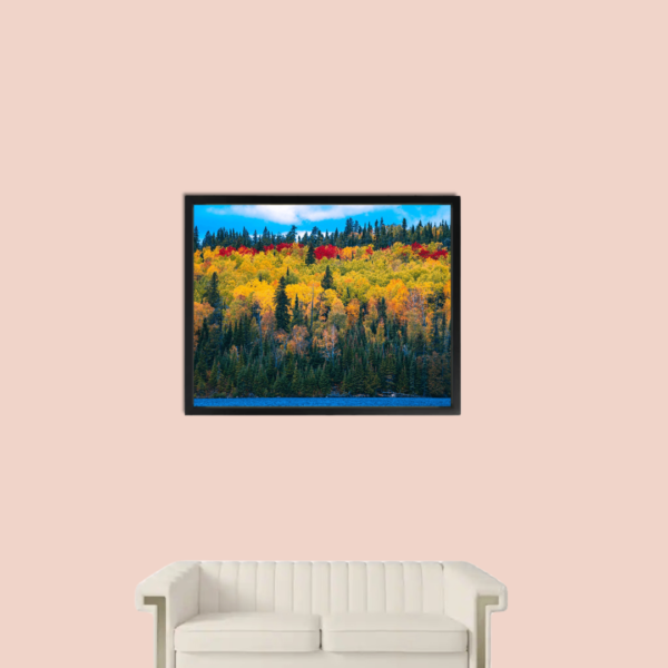 Spring Forest Wall Art Canvas