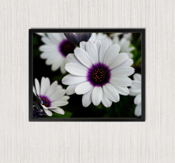 Framed Wall Art Nature Canvas